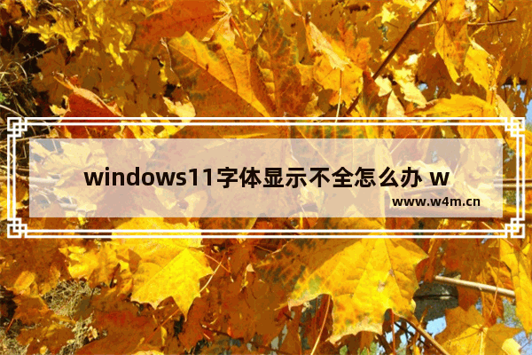 windows11字体显示不全怎么办 windows11字体显示不全解决方法