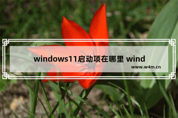 windows11启动项在哪里 windows11启动项设置的方法