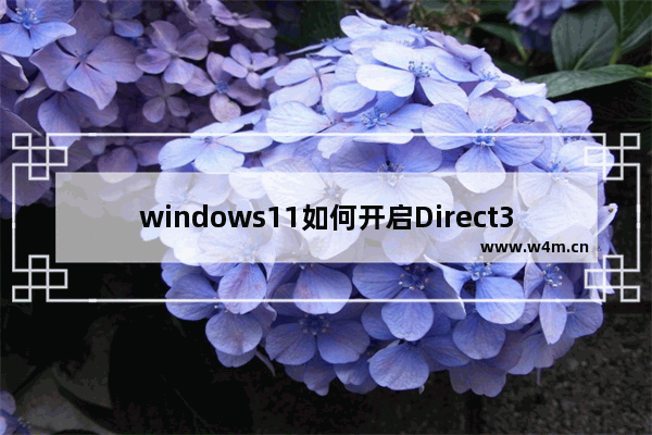 windows11如何开启Direct3D加速 windows11开启Direct3D加速方法