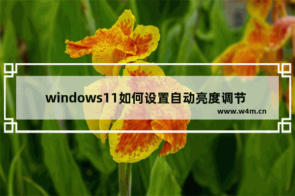 windows11如何设置自动亮度调节 windows11设置自动亮度调节方法