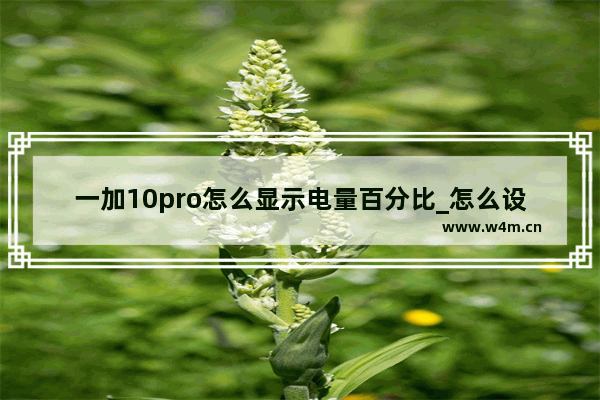 一加10pro怎么显示电量百分比_怎么设置电池百分比