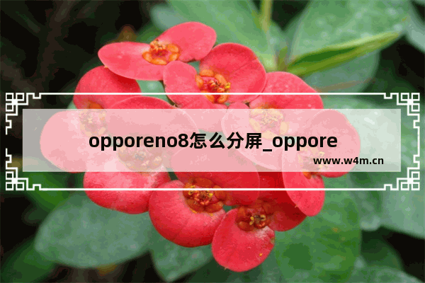 opporeno8怎么分屏_opporeno8分屏功能怎么用