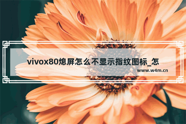 vivox80熄屏怎么不显示指纹图标_怎么设置熄屏不显示指纹图标