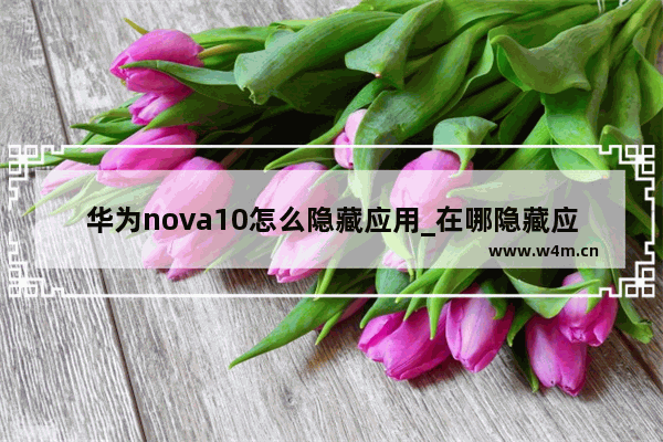 华为nova10怎么隐藏应用_在哪隐藏应用