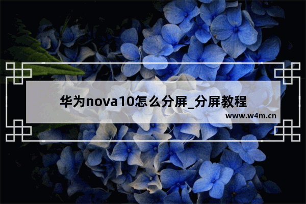 华为nova10怎么分屏_分屏教程