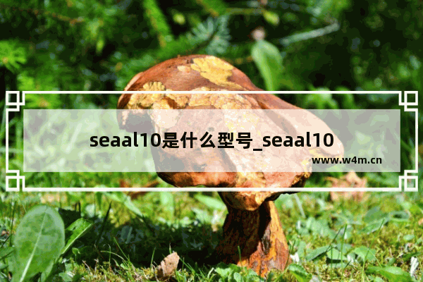 seaal10是什么型号_seaal10是华为什么型号手机