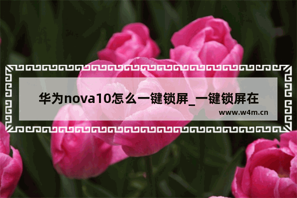 华为nova10怎么一键锁屏_一键锁屏在哪