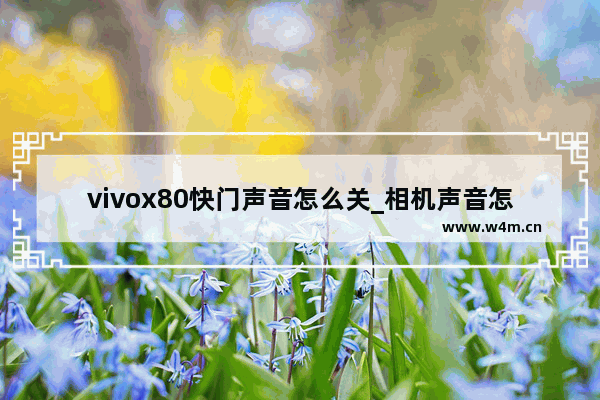 vivox80快门声音怎么关_相机声音怎么关