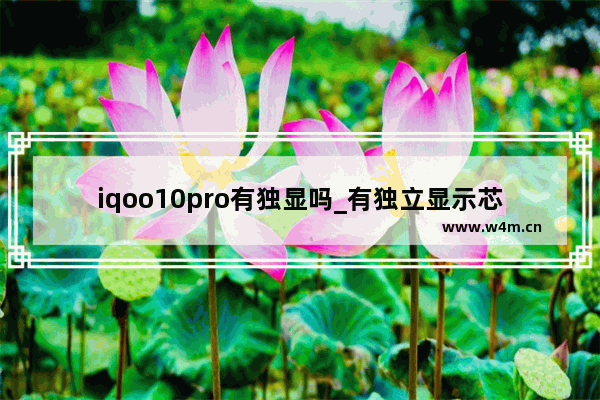 iqoo10pro有独显吗_有独立显示芯片吗