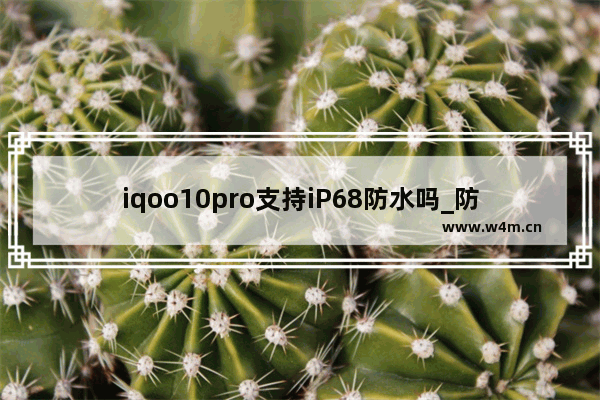 iqoo10pro支持iP68防水吗_防水吗