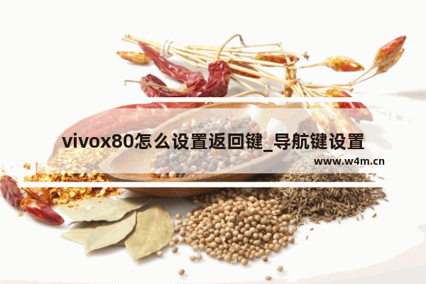 vivox80怎么设置返回键_导航键设置在哪里