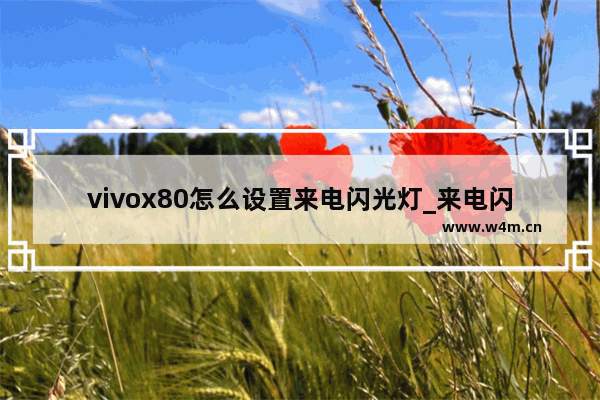 vivox80怎么设置来电闪光灯_来电闪光灯在哪设置