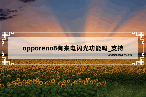 opporeno8有来电闪光功能吗_支持来电闪光功能吗