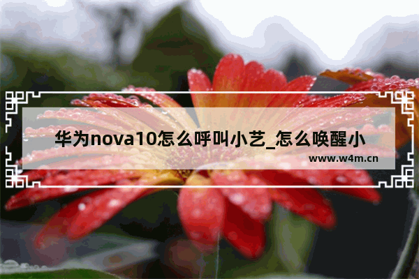 华为nova10怎么呼叫小艺_怎么唤醒小艺