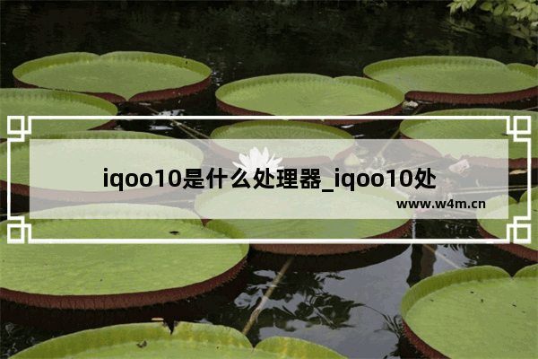 iqoo10是什么处理器_iqoo10处理器是什么