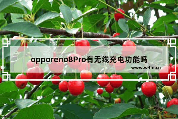 opporeno8Pro有无线充电功能吗_支持无线充电吗