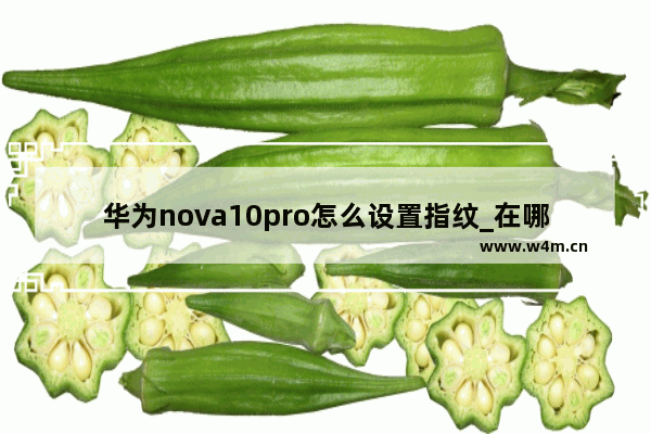 华为nova10pro怎么设置指纹_在哪里录入指纹