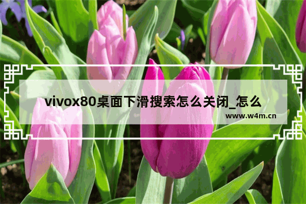 vivox80桌面下滑搜索怎么关闭_怎么关闭桌面搜索