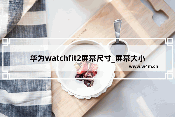 华为watchfit2屏幕尺寸_屏幕大小