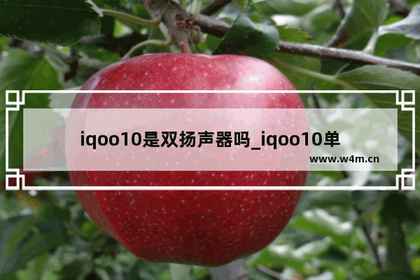 iqoo10是双扬声器吗_iqoo10单扬声器还是双扬声器