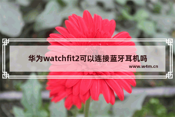 华为watchfit2可以连接蓝牙耳机吗_华为watchfit2怎么连接耳机