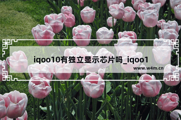 iqoo10有独立显示芯片吗_iqoo10有v1芯片吗