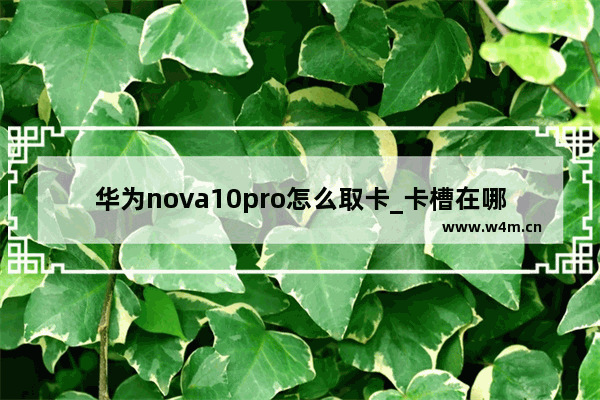 华为nova10pro怎么取卡_卡槽在哪