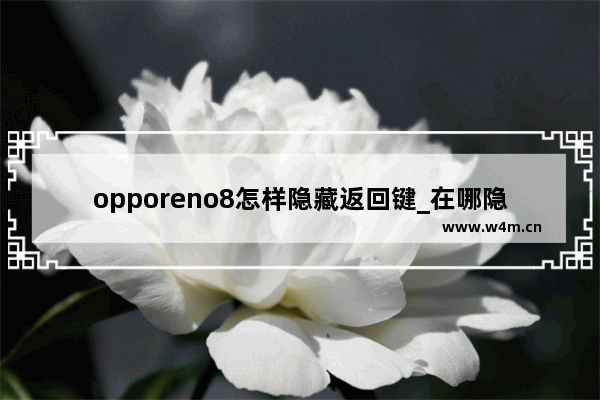 opporeno8怎样隐藏返回键_在哪隐藏返回键