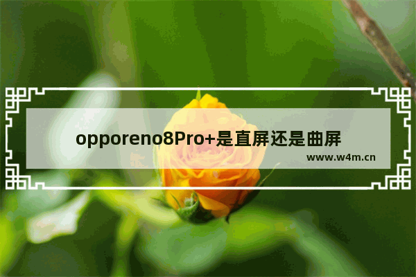 opporeno8Pro+是直屏还是曲屏_是曲面屏吗