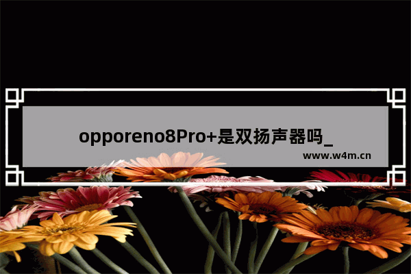 opporeno8Pro+是双扬声器吗_有没有双扬声器