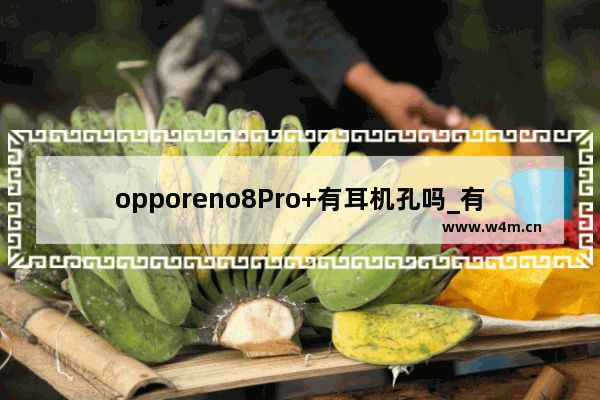 opporeno8Pro+有耳机孔吗_有没有耳机孔