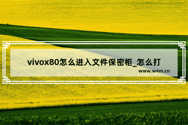 vivox80怎么进入文件保密柜_怎么打开原子隐私系统