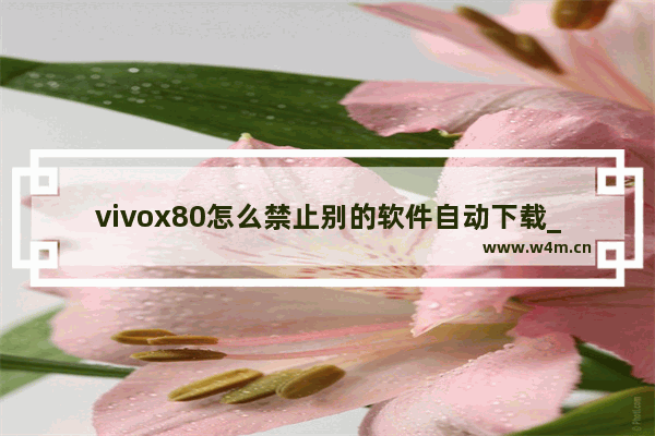 vivox80怎么禁止别的软件自动下载_怎么设置不允许下载应用