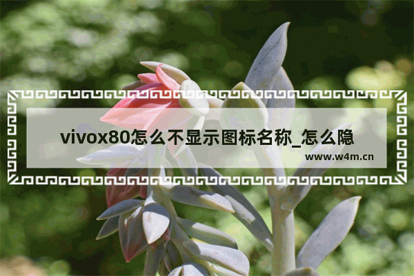 vivox80怎么不显示图标名称_怎么隐藏应用名称