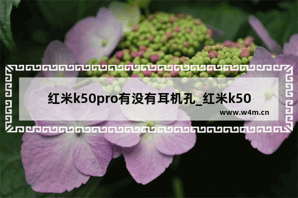 红米k50pro有没有耳机孔_红米k50pro有3.5mm耳机孔吗