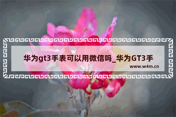 华为gt3手表可以用微信吗_华为GT3手表微信功能什么时候上线