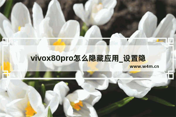 vivox80pro怎么隐藏应用_设置隐藏应用教程