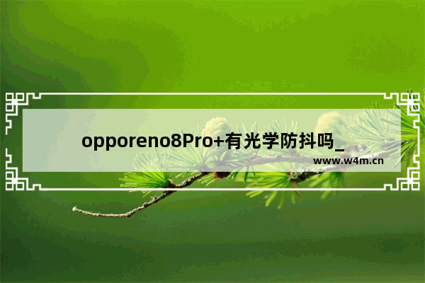 opporeno8Pro+有光学防抖吗_支持光学防抖吗