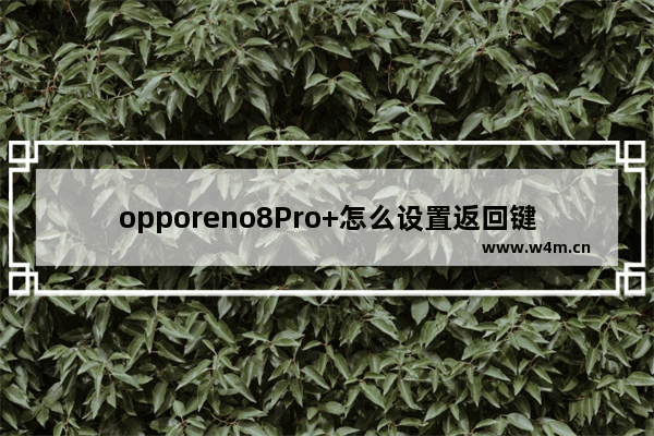 opporeno8Pro+怎么设置返回键_如何设置返回键