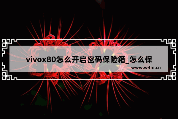 vivox80怎么开启密码保险箱_怎么保管应用免密