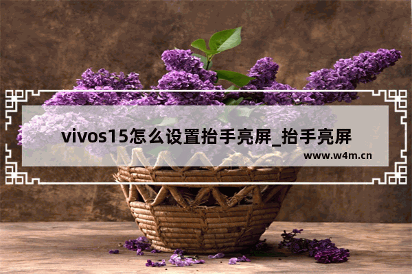 vivos15怎么设置抬手亮屏_抬手亮屏在哪开启