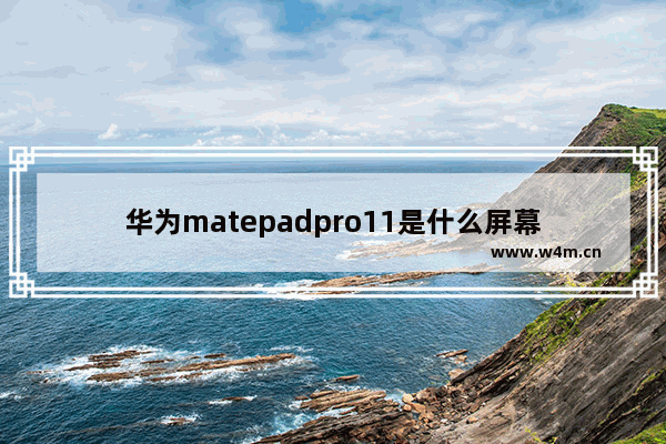 华为matepadpro11是什么屏幕