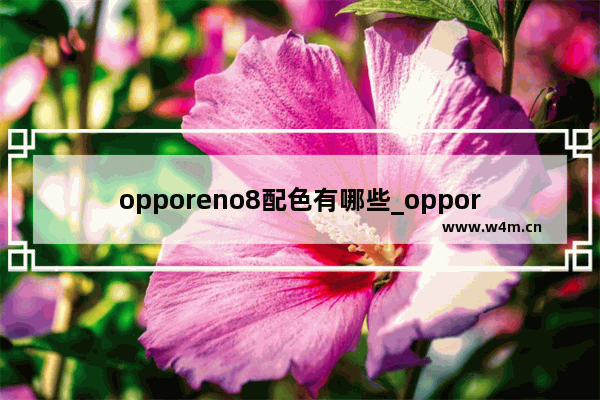 opporeno8配色有哪些_opporeno8有什么颜色