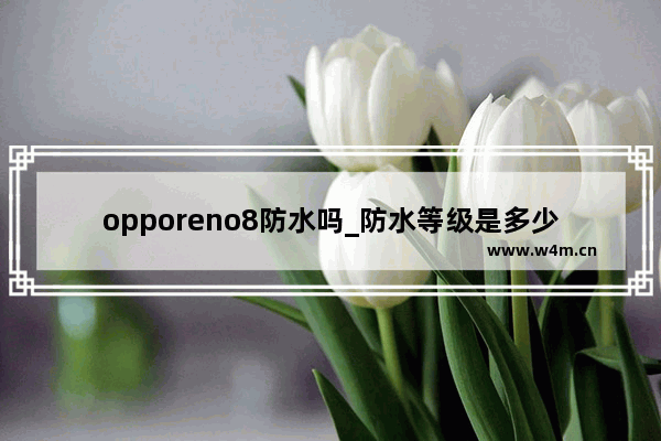 opporeno8防水吗_防水等级是多少