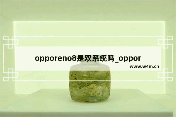 opporeno8是双系统吗_opporeno8支持系统分身吗