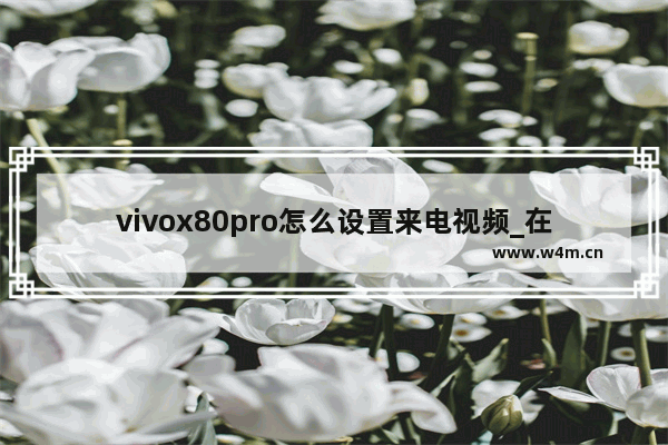 vivox80pro怎么设置来电视频_在哪设置来电视频