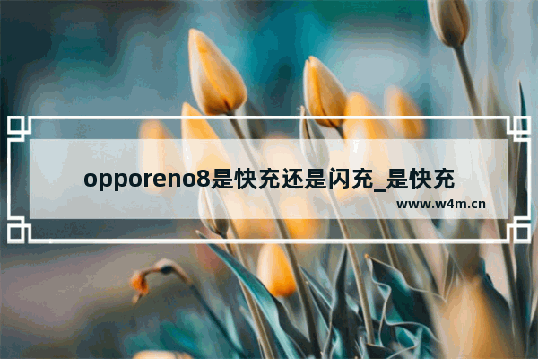 opporeno8是快充还是闪充_是快充吗