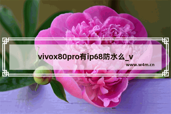 vivox80pro有ip68防水么_vivox80pro防水等级