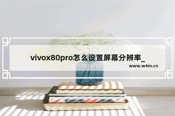 vivox80pro怎么设置屏幕分辨率_在哪设置分辨率