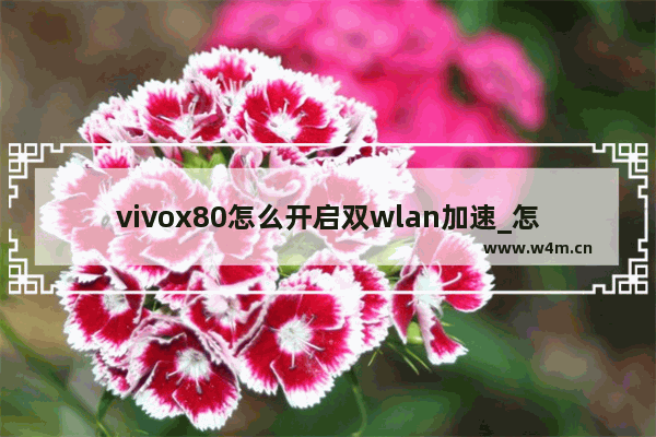 vivox80怎么开启双wlan加速_怎么设置双wifi